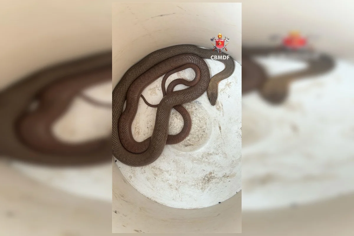 WhatsApp-Image-2025-10-28-at-22.57.53