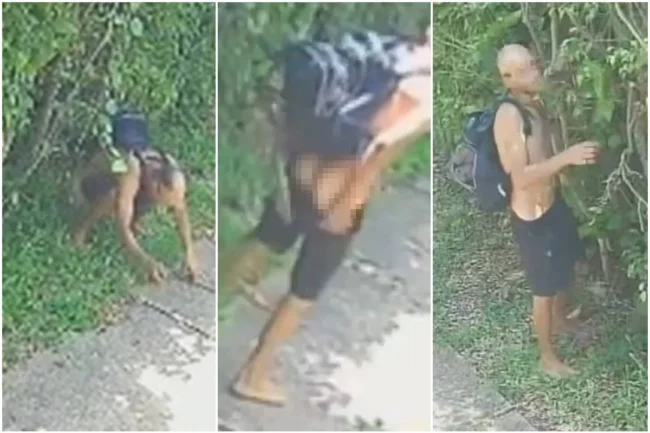 Cagao-defeca-na-porta-de-casa-na-Asa-Norte-e-invade-imovel-para-furtar-2