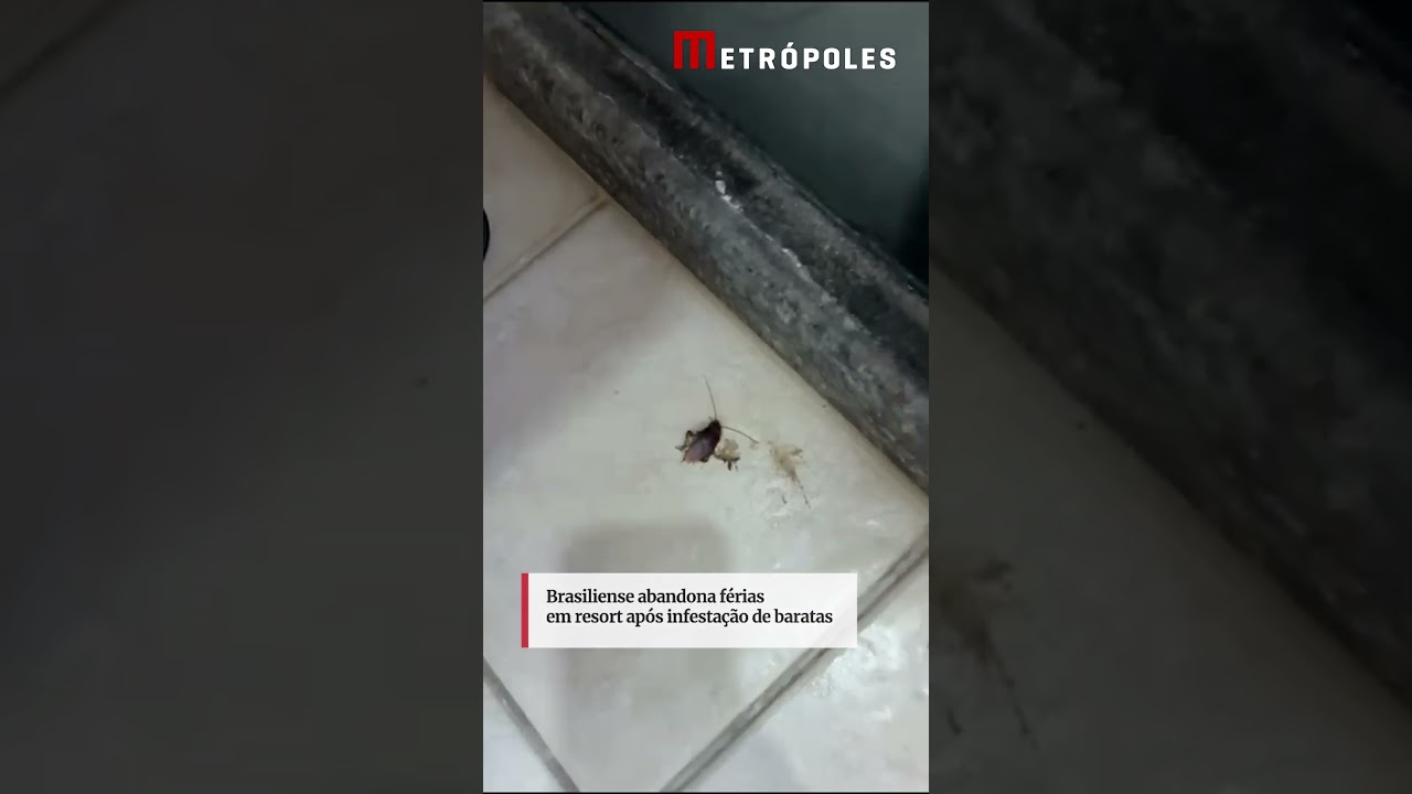 Brasiliense abandona férias em resort após infestação de baratas