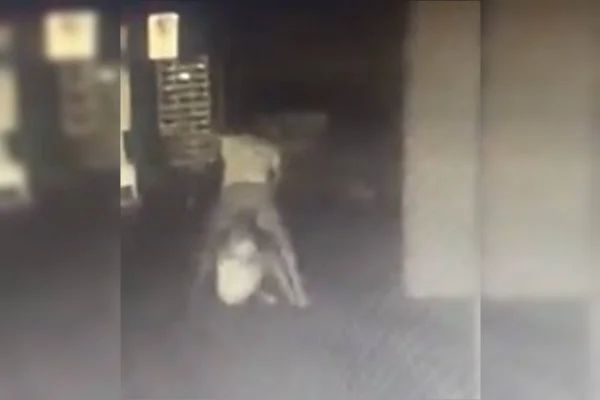 Homem é preso por espancar mulher em elevador; ela caiu do 10º andar - destaque galeria Homem é preso por espancar mulher em elevador; ela caiu do 10º andar - destaque galeria