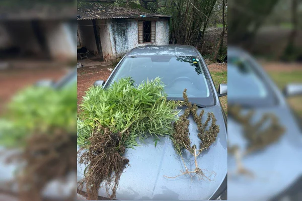 Assaltante de paradas de ônibus é preso com “hortonha” em casa no Entorno - destaque galeria Assaltante de paradas de ônibus é preso com “hortonha” em casa no Entorno - destaque galeria