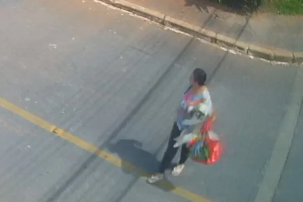 Mulher “sequestra” shih tzu no Guará, e família procura pelo cãozinho - destaque galeria