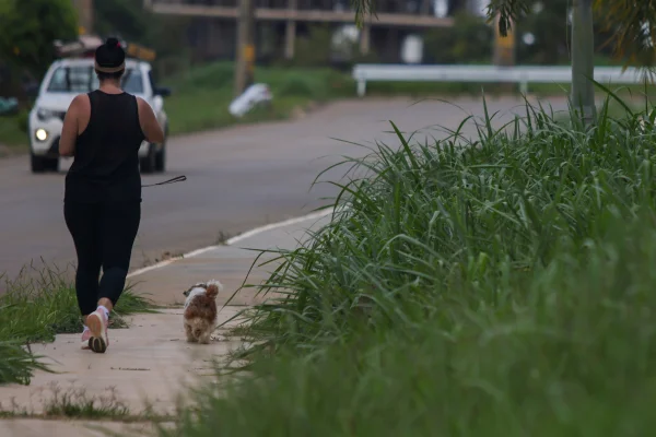 Com mato alto na vizinhança, cobras invadem casas em área nobre do DF - destaque galeria