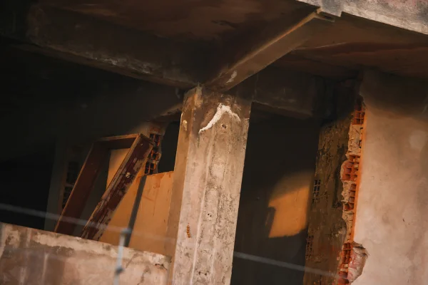 Com mato alto na vizinhança, cobras invadem casas em área nobre do DF - destaque galeria