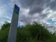 Mato alto da CA 6 do Lago Norte