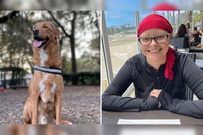Foto colorida de Chase Johnson e seu cachorro, Ceto - Cachorro ajuda tutora a descobrir câncer agressivo através do olfato - Metrópoles