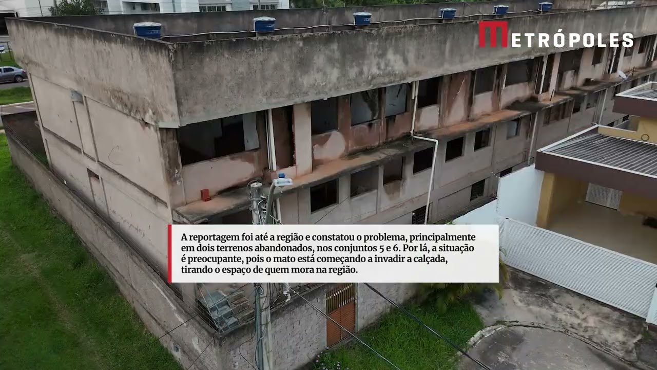 Cobras e escorpiões preocupam moradores em área nobre do DF