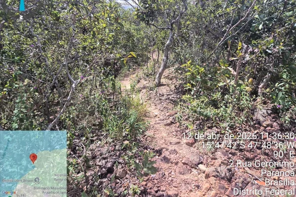 Batalhão Ambiental é acionado após onça-preta ser vista na Ermida Dom Bosco - destaque galeria