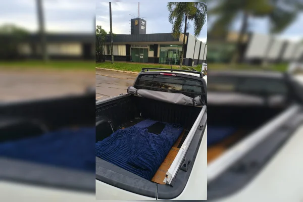 Patricinha do Golpe não paga aluguel e ainda faz limpa em apê mobiliado - destaque galeria