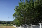 Leilão da mansão abandonada no Park Way é suspenso. Entenda - imagem 4