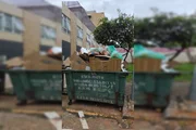 O acúmulo se intensificou depois de mudanças no cronograma e na logística do SLU