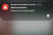 Alerta falso da Defesa Civil atingiu milhões de pessoas, diz governo - imagem 2