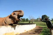 Cuidador joga fruta para elefante